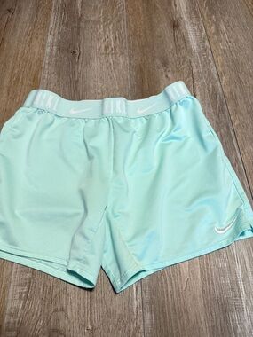 Nike Dri Fit Mint Green Athletic Shorts
